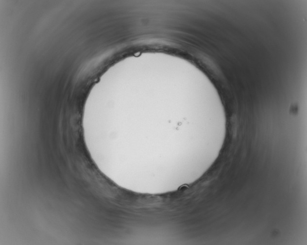 X0000115201111200911251436