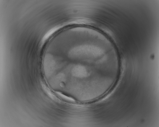 X0000115201114200911251436