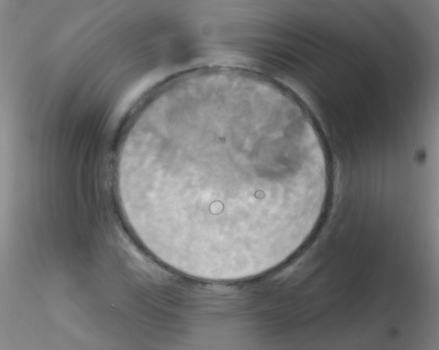 X0000115201115200911251436