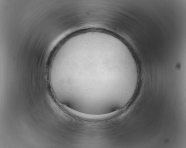 X0000115201118200911251436