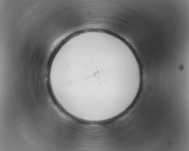 X0000115201119200911251436