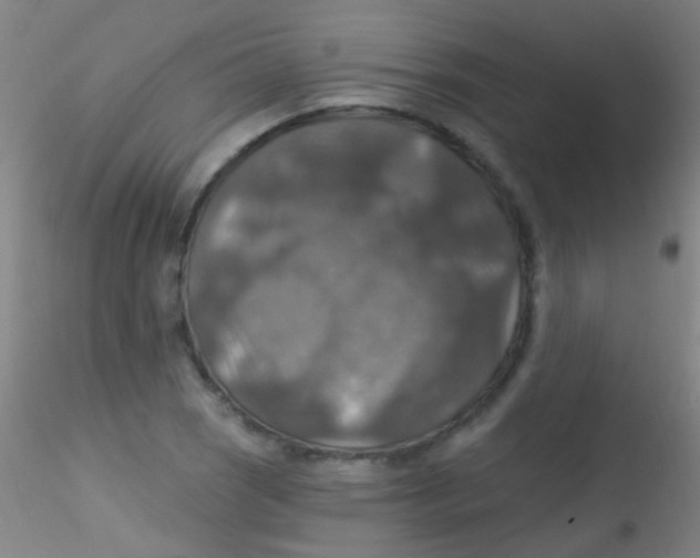 X0000115201121200911251436