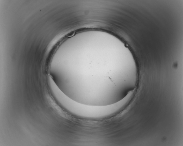 X0000115201122200911251436