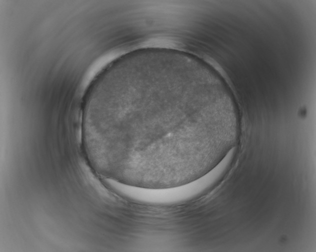 X0000115201123200911251436