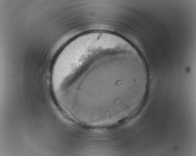 X0000115201125200911251436