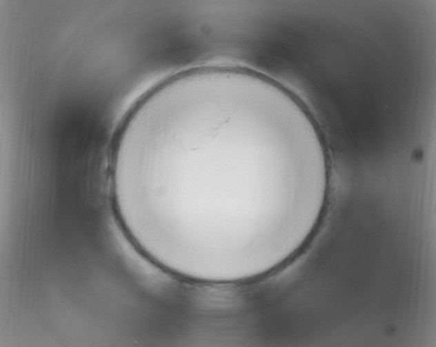 X0000115201126200911251436