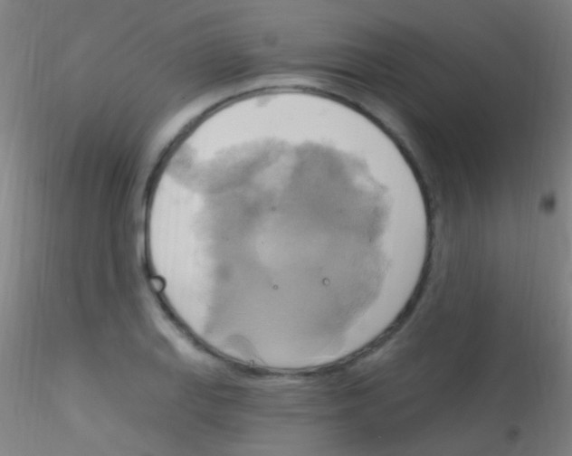 X0000115201127200911251436