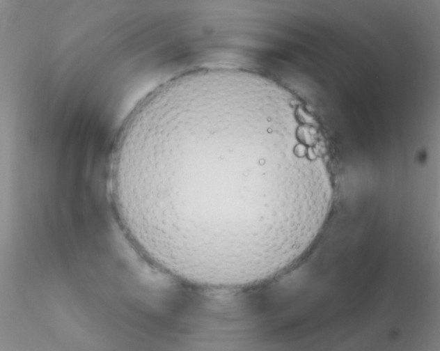 X0000115201130200911251437
