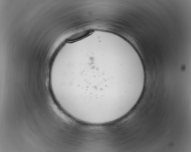 X0000115201131200911251437