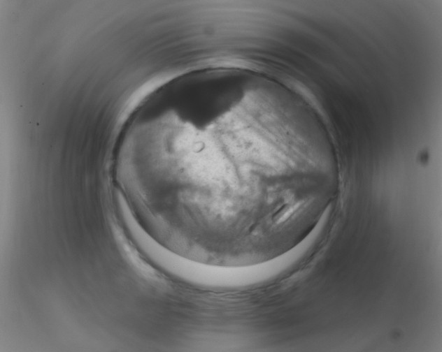 X0000115201133200911251437