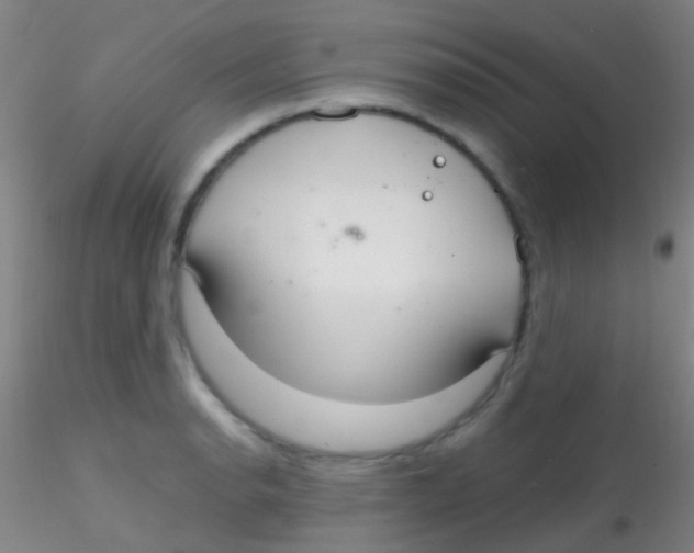 X0000115201134200911251437