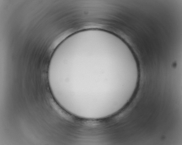 X0000115201137200911251437