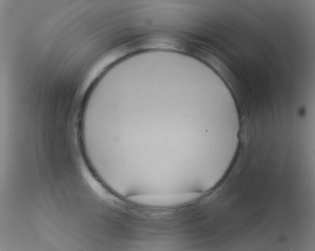 X0000115201139200911251437