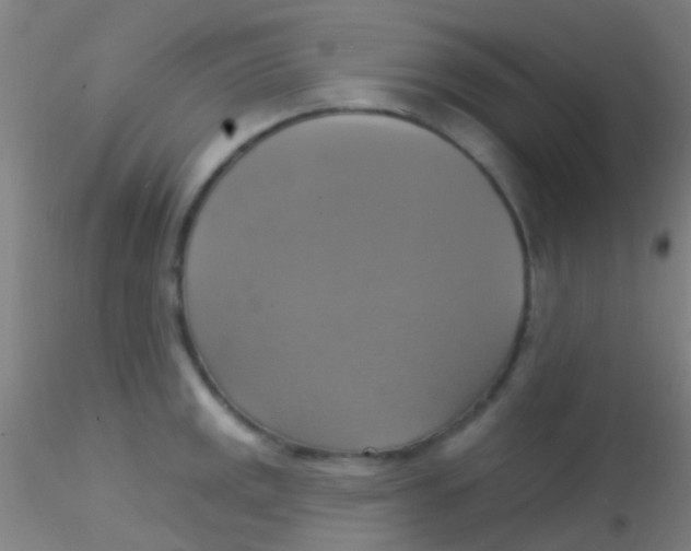 X0000115201141200911251437