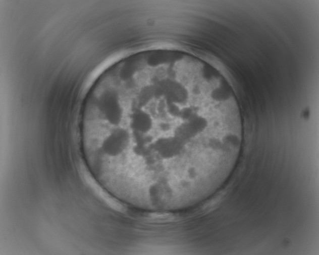 X0000115201142200911251437