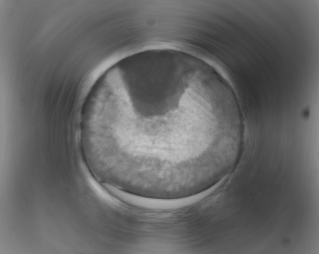 X0000115201143200911251437