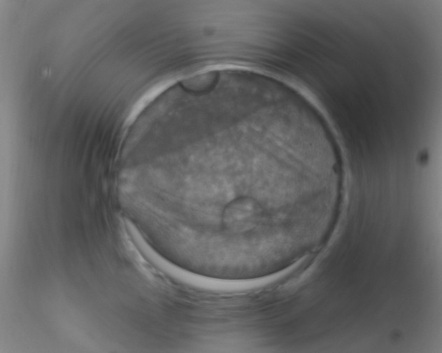 X0000115201145200911251437
