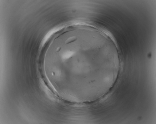 X0000115201146200911251437