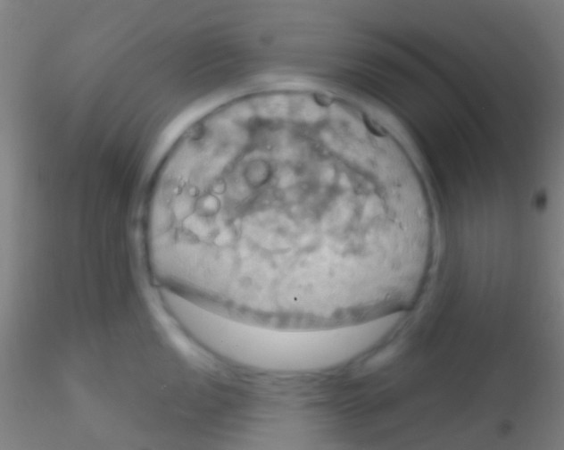 X0000115201149200911251437
