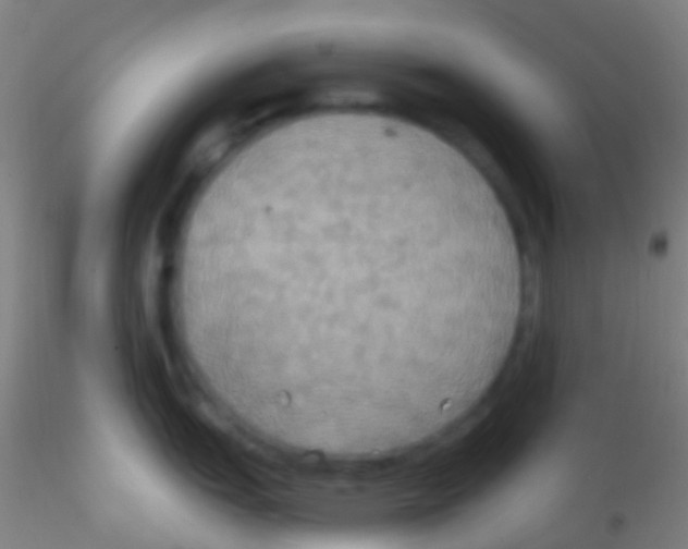 X0000115201151200911251437