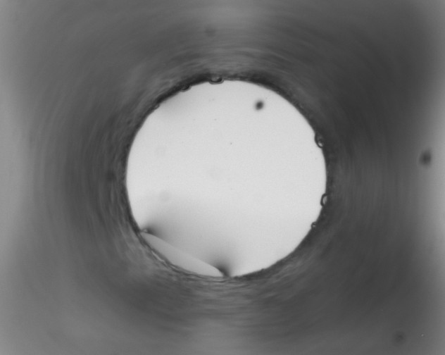 X0000115201153200911251436