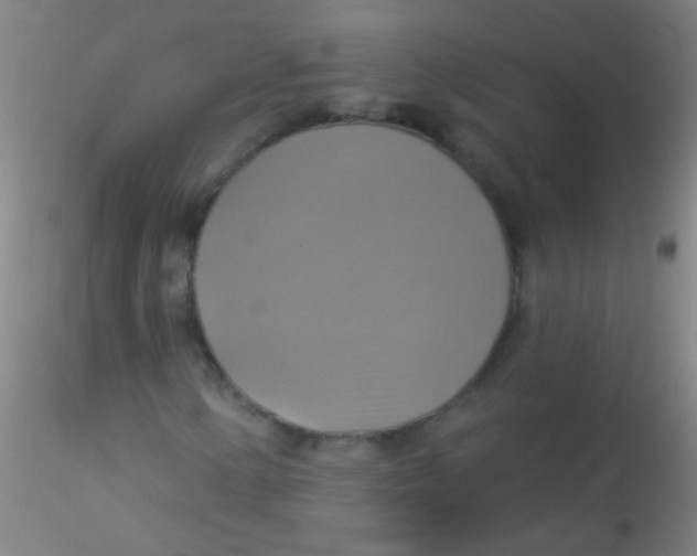 X0000115201154200911251436