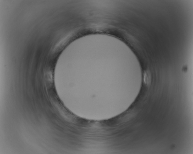 X0000115201155200911251436