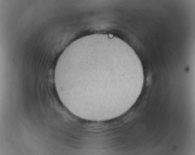 X0000115201156200911251436