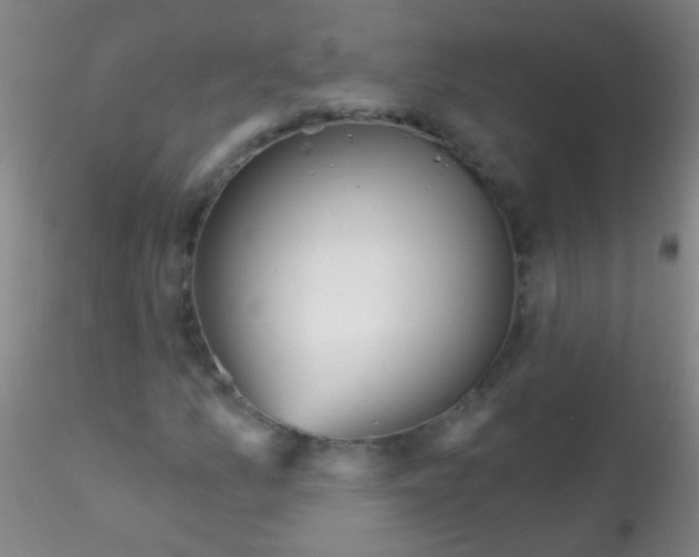 X0000115201157200911251436