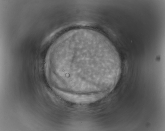 X0000115201158200911251436