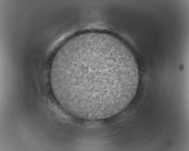 X0000115201159200911251436