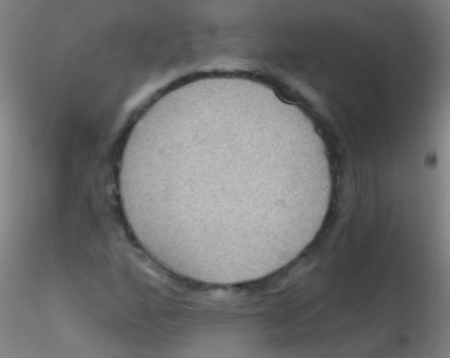 X0000115201160200911251436