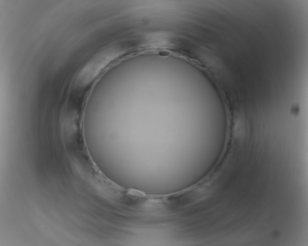 X0000115201161200911251436