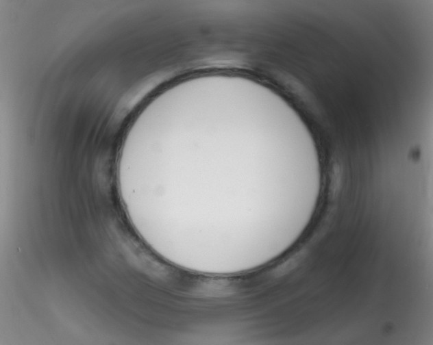 X0000115201162200911251436