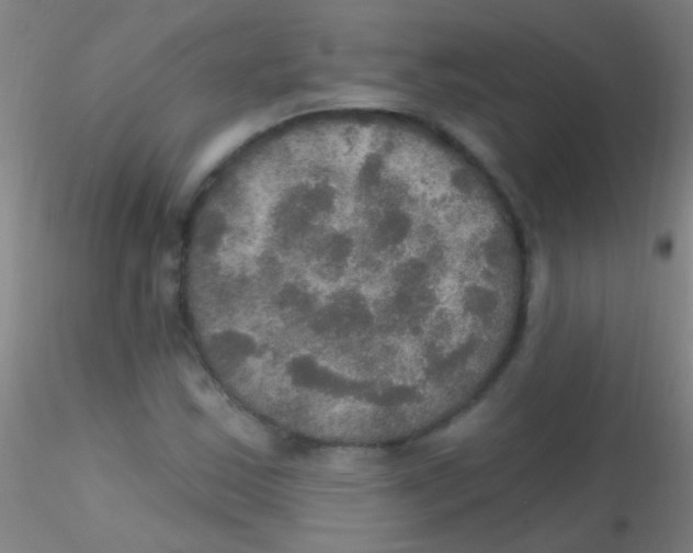 X0000115201163200911251436