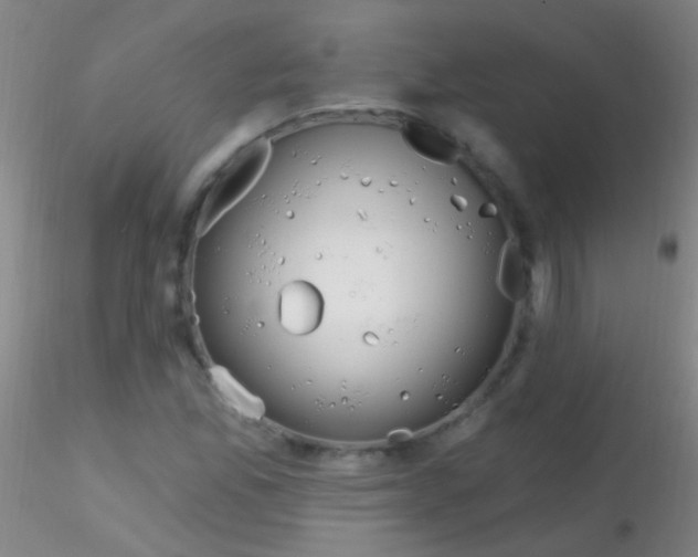 X0000115201165200911251436