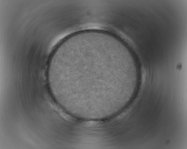 X0000115201166200911251436