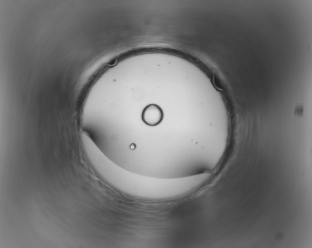 X0000115201167200911251436