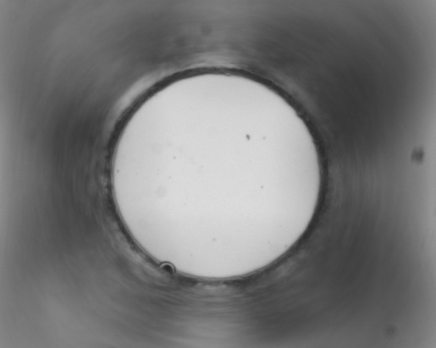 X0000115201168200911251436