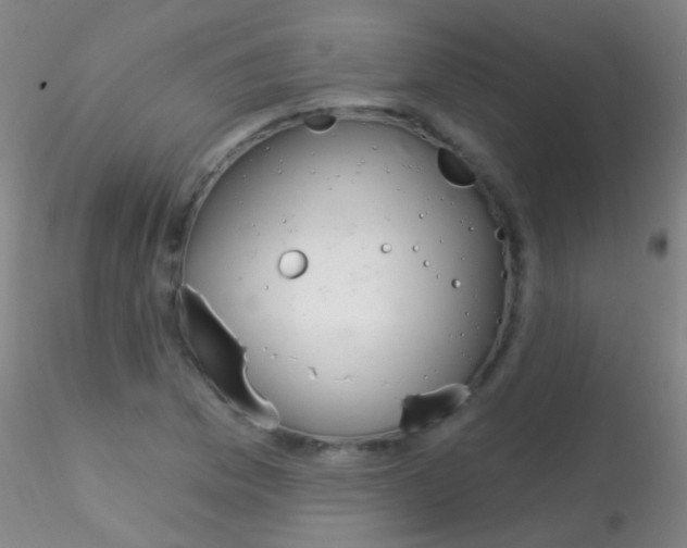 X0000115201169200911251436