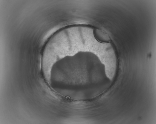 X0000115201171200911251436
