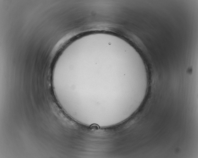 X0000115201172200911251436