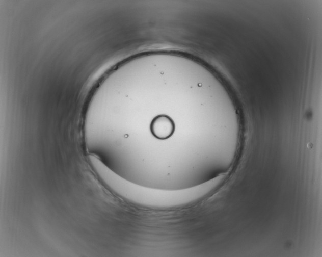 X0000115201173200911251436