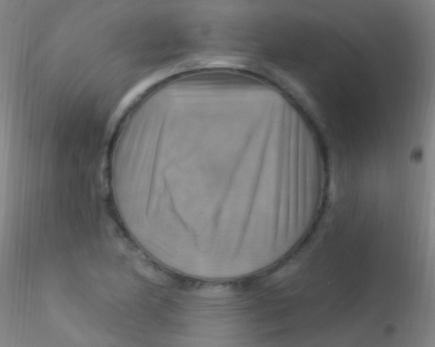 X0000115201174200911251436