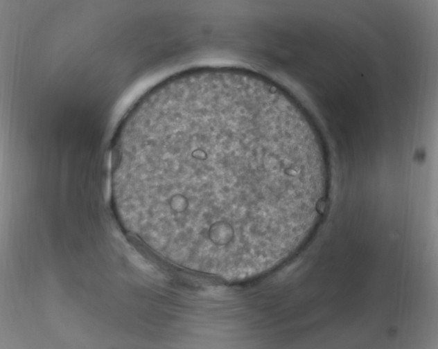 X0000115201175200911251436