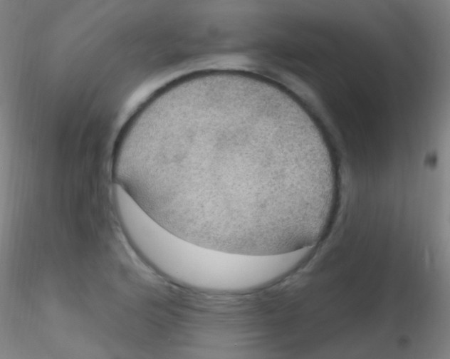 X0000115201176200911251436