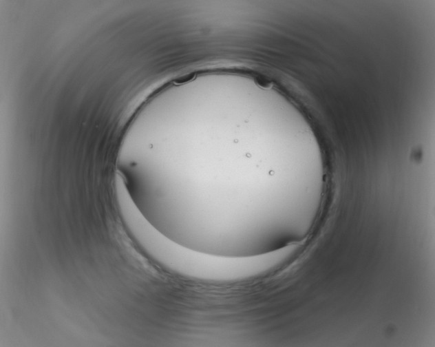 X0000115201177200911251436