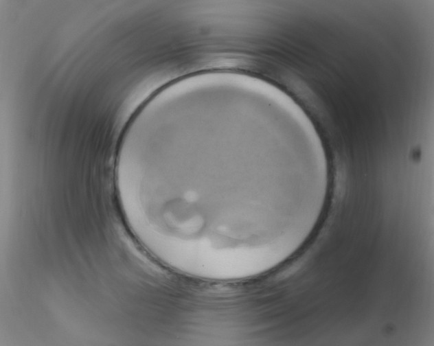 X0000115201178200911251436