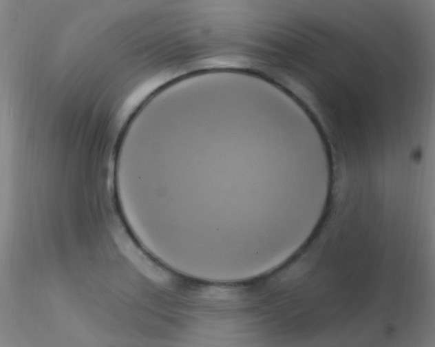X0000115201179200911251436