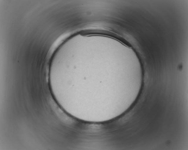 X0000115201180200911251436